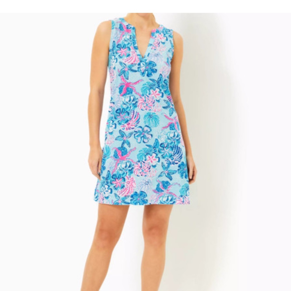 Lilly Pulitzer Dev Dress.
